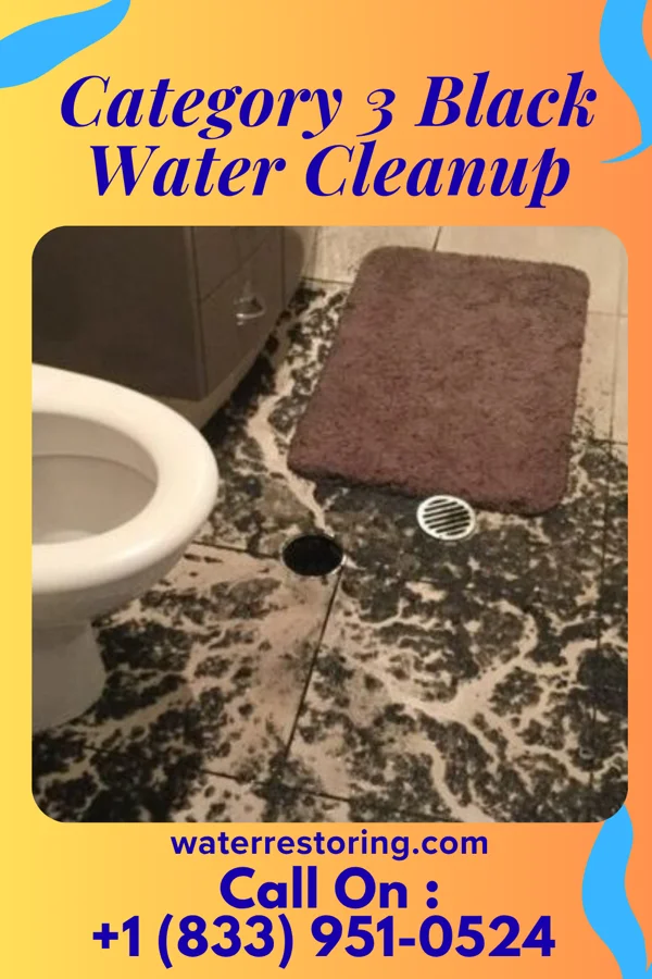 Category 3 Black Water Cleanup in Mayville, MI