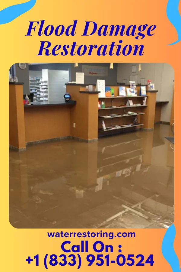 Flood Damage Restoration in Mayville, MI