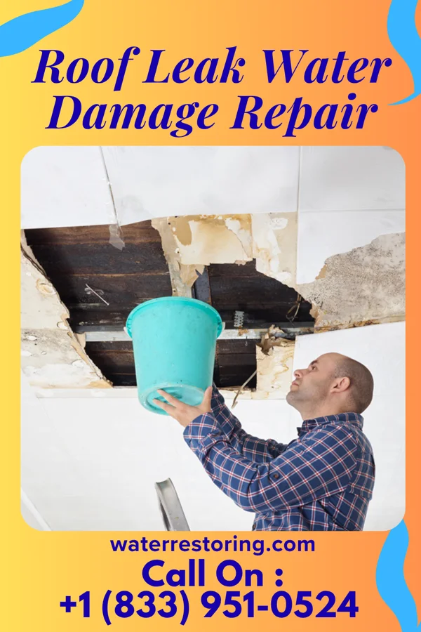 Roof Leak Water Damage Repair in Mayville, MI