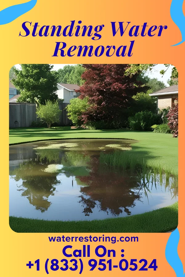 Standing Water Removal in Mayville, MI